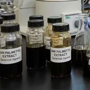 Saw Palmetto Extract — 12.5 mg